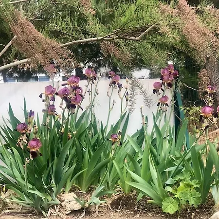 アパート Entier - Quartier Phare - Tranche Sur *