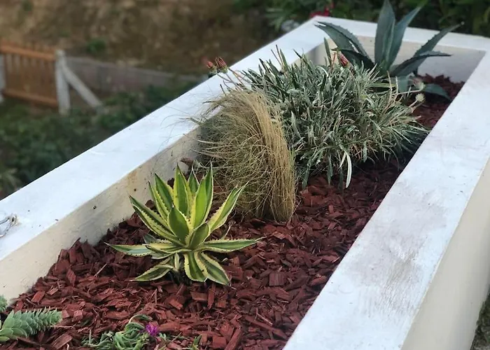 Entier - Quartier Phare - Tranche Sur