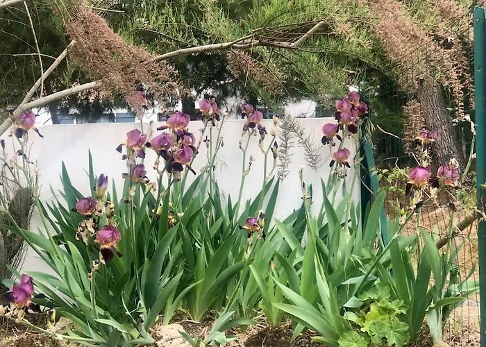 アパート Entier - Quartier Phare - Tranche Sur *