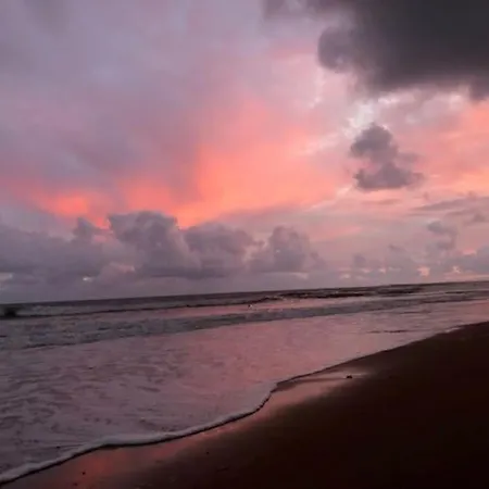 Entier - Quartier Phare - Tranche Sur