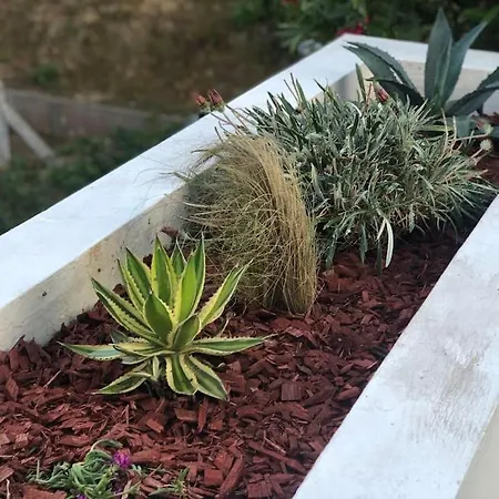 Entier - Quartier Phare - Tranche Sur