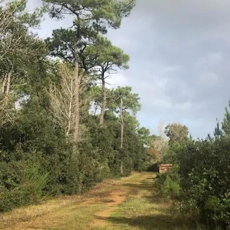 Apartament Entier - Quartier Phare - Tranche Sur *