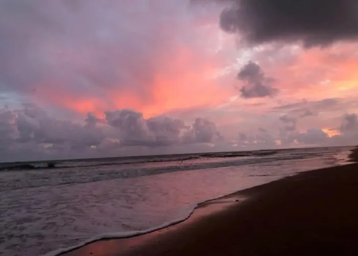 Entier - Quartier Phare - Tranche Sur