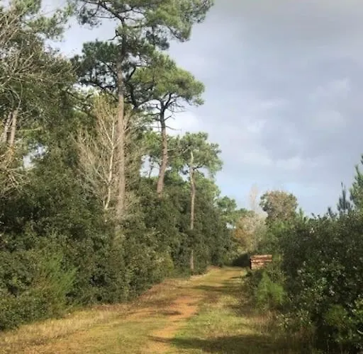 Appartamento Entier - Quartier Phare - Tranche Sur *