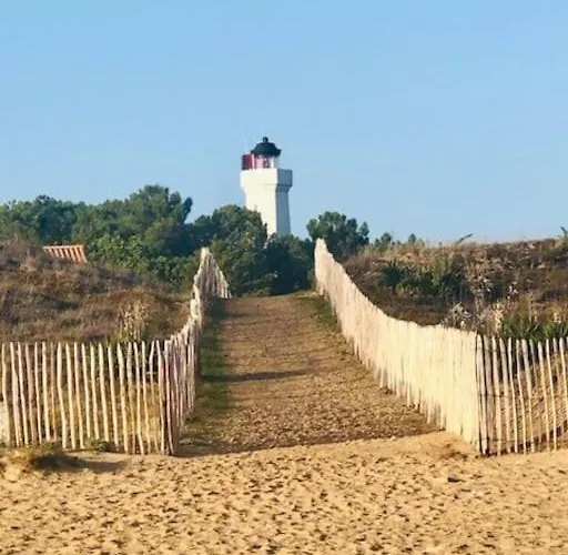 Entier - Quartier Phare - Tranche Sur *